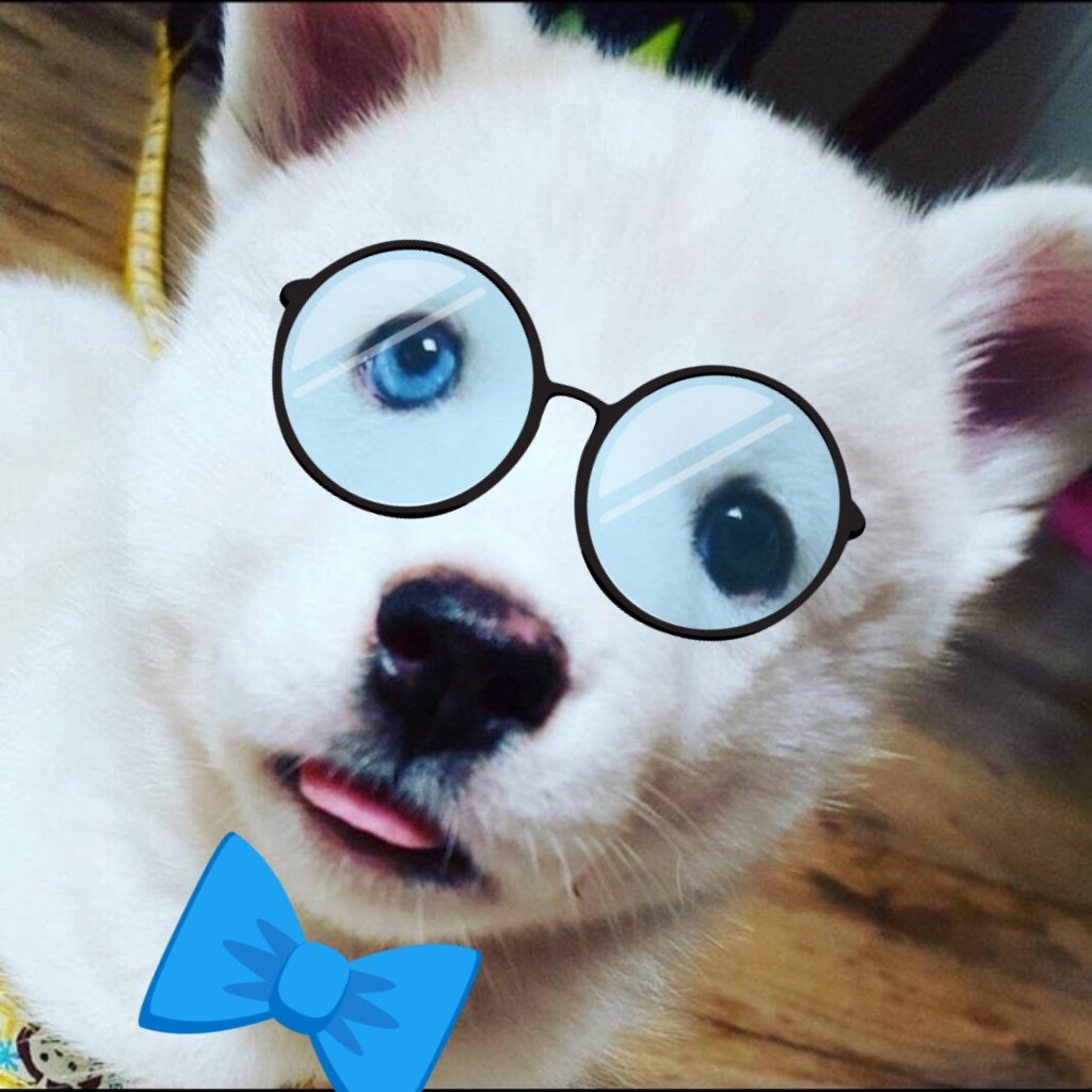 thinkingabtyuri's tweet photo. my time as a gamja thinker has come to an end... π
bye gamja hope u are eating lots of delicious kibble somewhere in busan i hope u get the screentime & lines u deserve one day π
happy april fool's day π§‘
#GAMJA #JOGAMJA #κ°μ #μ‘°κ°μ #μμ΄μ¦ννΈμ€ #IZPETS https://t.co/PJAfXFuCtc