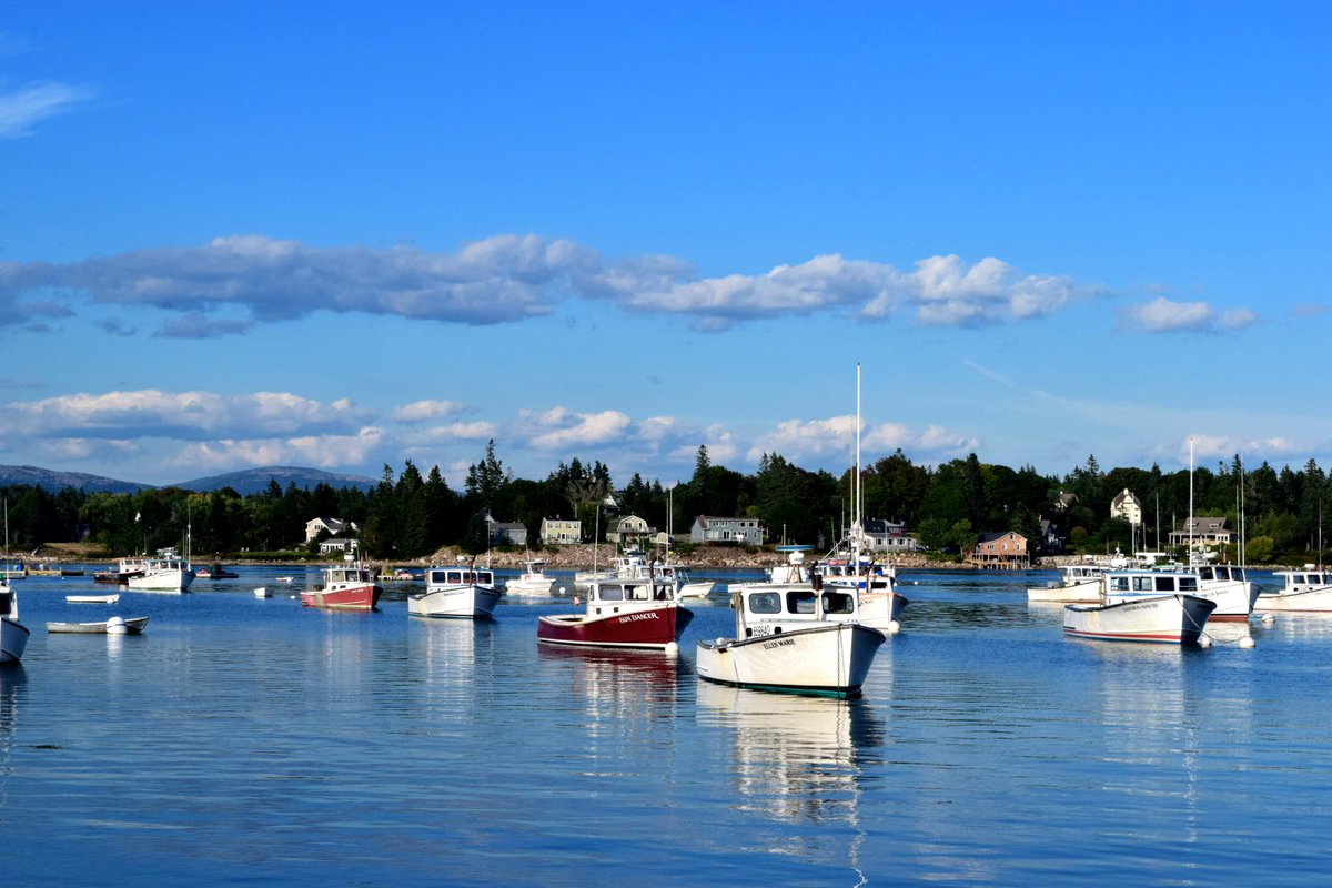 NYCSandyTaylor's tweet photo. See it, frame it, #buy it. https://t.co/OT1hotdjwA #Maine #boats #boating #photography #wallart #homedecor #shopping https://t.co/zhvCR61eAB