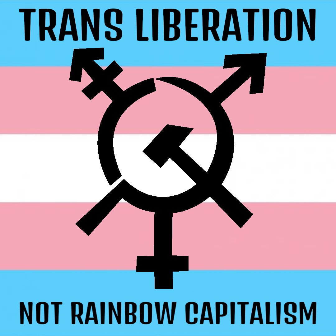 merrsm_official's tweet photo. Happy Trans Day of Visibility everyone! Solidarity to all trans revolutionaries fighting to end capitalism and patriarchal oppression! https://t.co/GG2ghKRnep