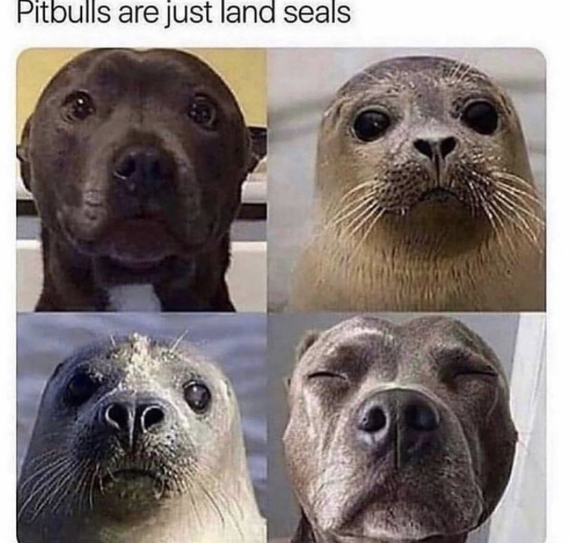 WholesomeMeme's tweet photo. https://t.co/pRDN1ip7ww