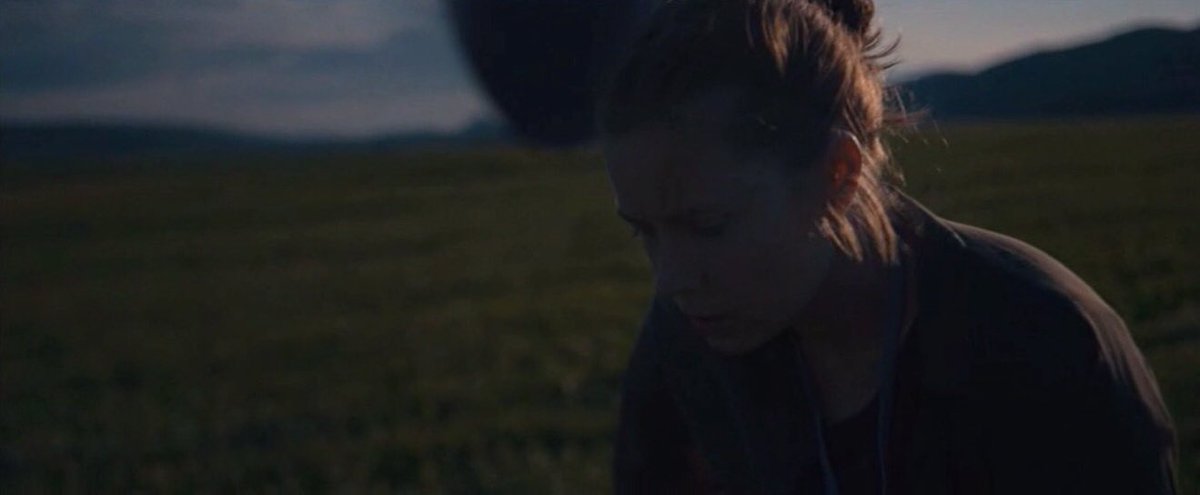 five minute arrival tweet media