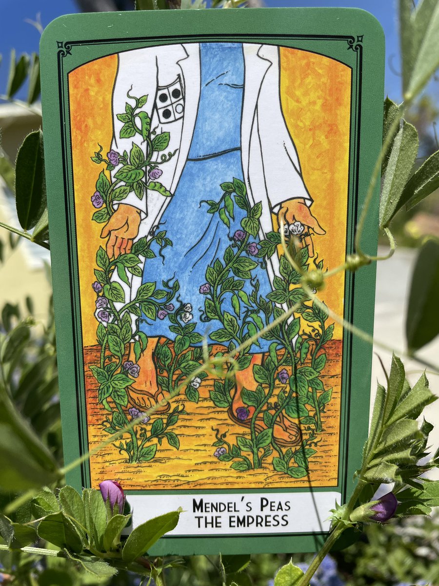 sciencetarot tweet picture