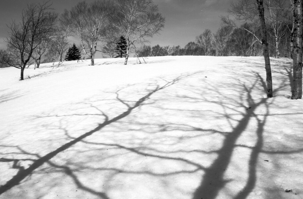 threepinner1's tweet photo. https://t.co/kTwWvFMKGx
#幌向岳 #岩見沢
#PentaxMZM #Tamron28mm #CW28
#Kodak #Microfilm #マイクロフィルム #自家現像
#Plustek #OpticFilm120 #フィルムスキャン
#BelieveinFiln #FilmIsNotDead
10000 × 6578pixels compatible.
Learn DIY development and upgrade to film ! https://t.co/vzI5aVFjFb