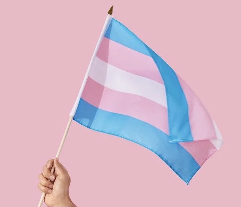 45% of transgender children drop out of school due to traumatic experiences. 

2020 was the deadliest year on record for the transgender community. 

We all must keep fighting for a world where all people can live safely and authentically. 

#TransDayOfVisibility