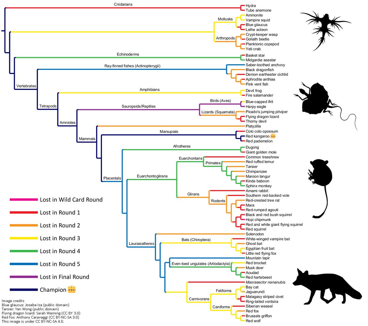Synapsid Notebook tweet media