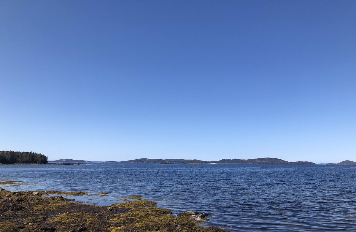 PatriciaHooperA's tweet photo. Out like a lamb, that’s for sure. #NLspring https://t.co/1vTjnCyXSw