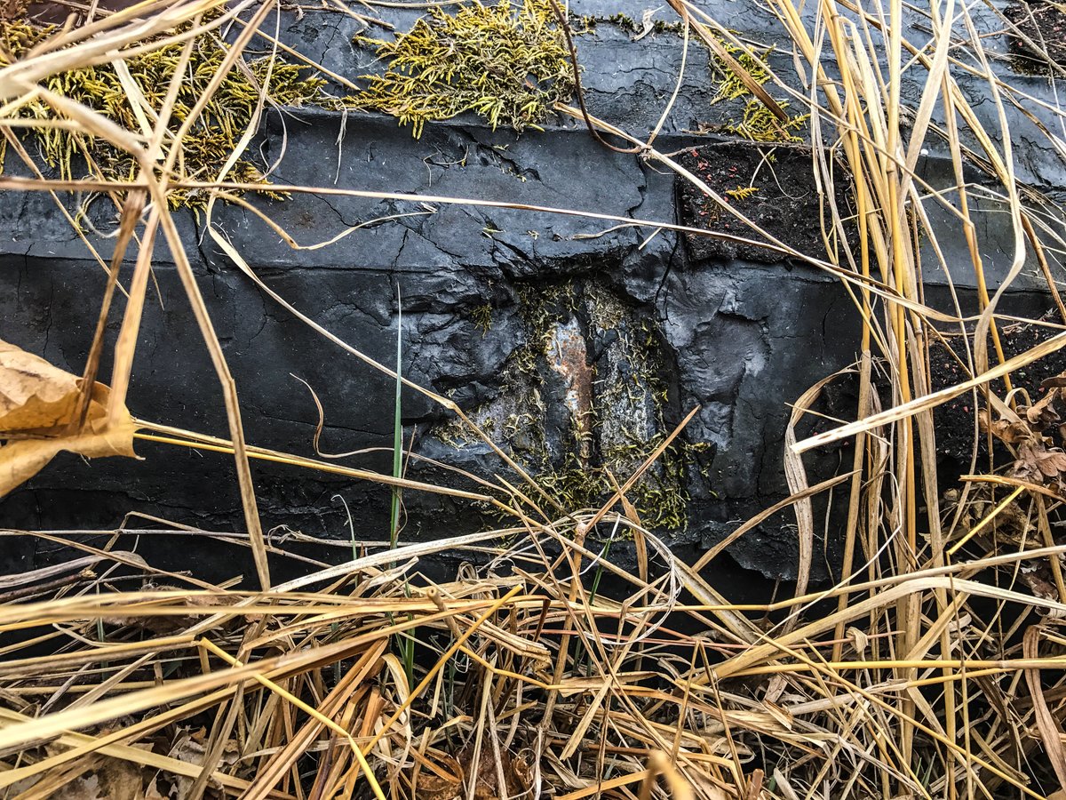 HonorTheEarth's tweet photo. @Enbridge 7-years of lawsuits is not working with the Tribes @Enbridge. Can you clean your current mess, and drop the expansion abandonment of current Line 3. You know the new 330 mile route that is crossing our wild rice water shed connections + 22 rivers is wrong. Just quit #StopLine3 https://t.co/Ypo5sQzh29