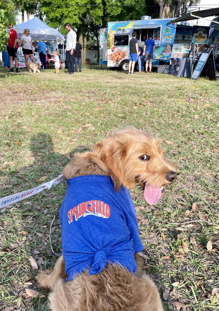 GSCorcoran's tweet photo. Great day for an outdoor concert. Thanks @SPARJax! #ilovejax #MusicOnMain #HistoricSpringfield https://t.co/WVowFJPnps