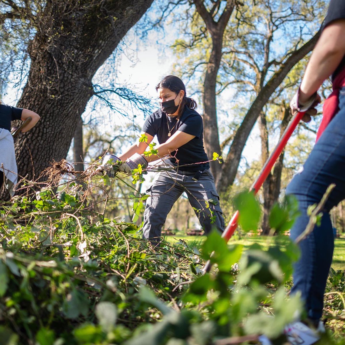 JasonHalley_CSU's tweet image. It was a good day to get outside, and even better to see @chicostate students celebrate the legacy of César Chávez with the 'Cats in the Community day of service.#ThisIsChico