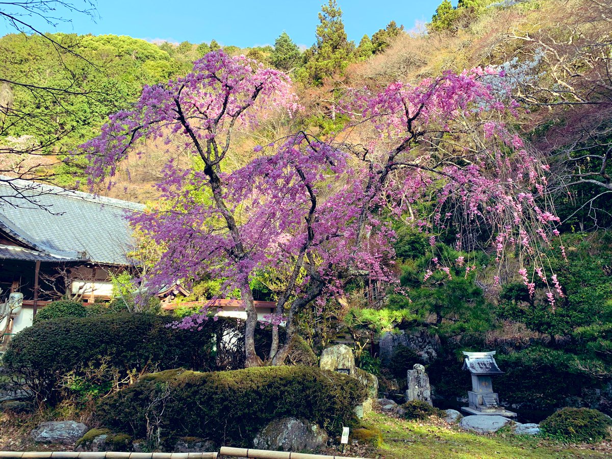 国道33号 通行止に関する今日 現在 リアルタイム最新情報 ナウティス