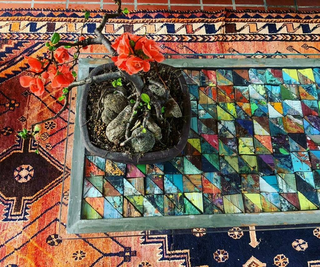 ErinSWright's tweet photo. Blooming to the edge.

#floralphotography #bonzai #tablephoto #patterndesign #patternphotography #southernliving #japanesequince #colorful #handmadetable https://t.co/0nWequnLn2 https://t.co/yfsWNf0Rwt