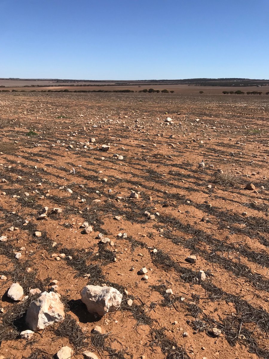 Bastard rocks. Shoutout to Central Ag Equipment for use of the Kivi-Pekka machine.