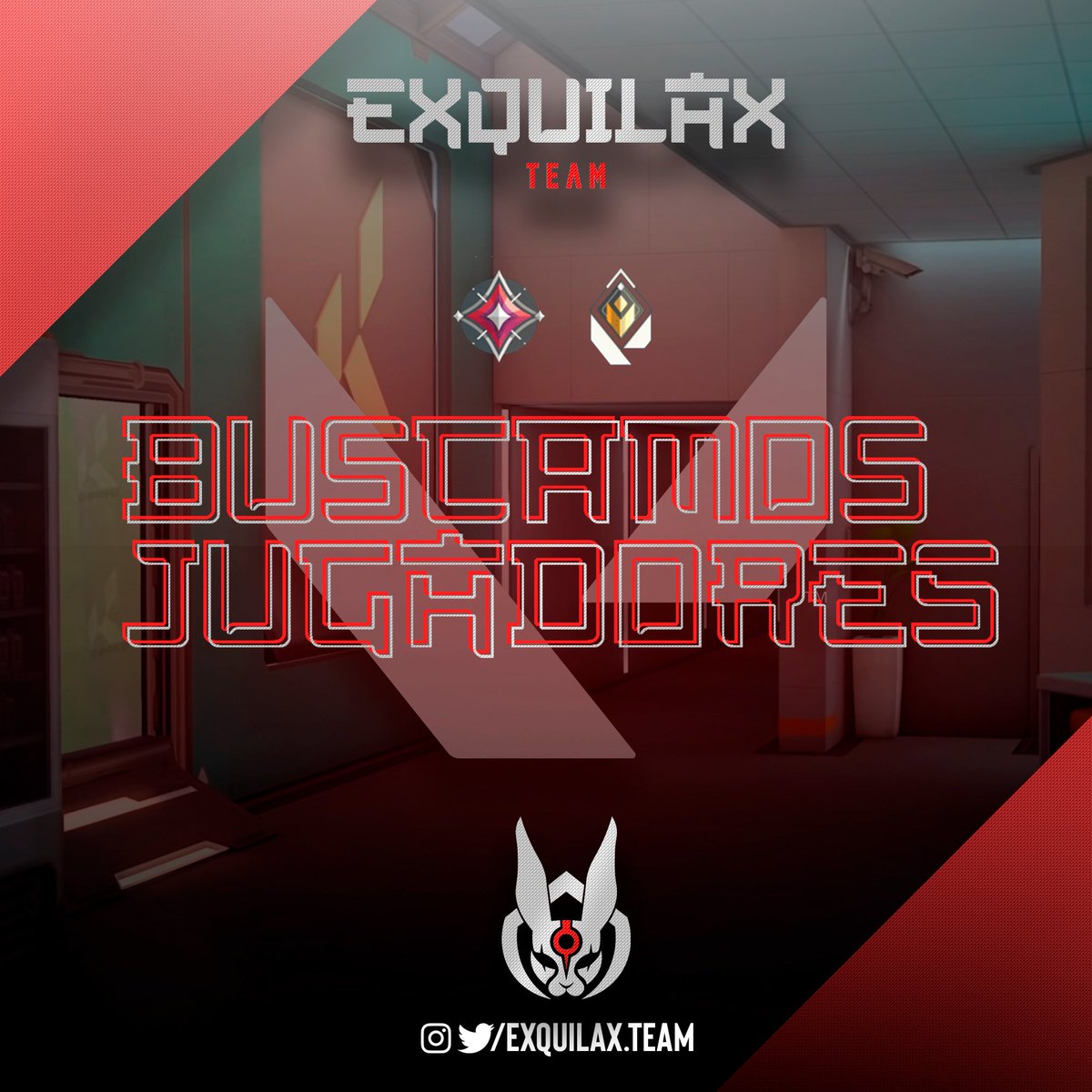 ExquilaxTeam's tweet photo. Cada vez más cerca.
Buscamos players 
Cupo para 2 
Requisitos: 
• Radiante/Inmortal.
• Mayor de 16.
• Buena comunicación.
• Y sobre todo compromiso.
#VALORANTChallengers 
#eSports 
#roster 
#radiante
#inmortal https://t.co/S3Ixrurapm