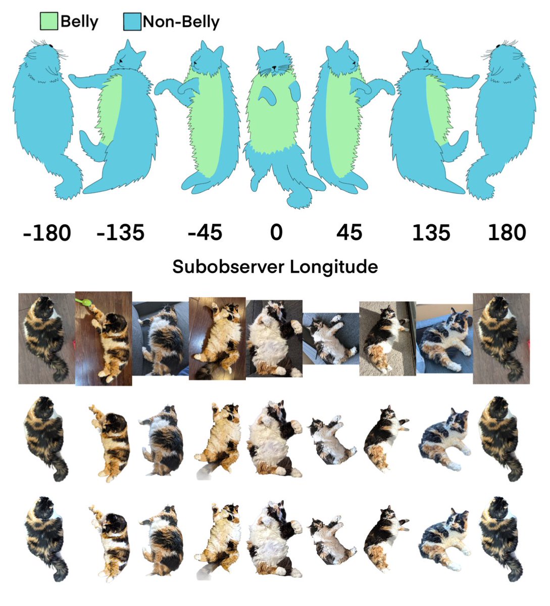 30-50 feral prigs (@lukedones) on Twitter photo Detection of Rotational Variability in Floofy Objects at Optical Wavelengths by <a href="/mayorgalc/">Dr. L. C. Mayorga</a> et al.
arxiv.org/abs/2103.16636 Detection of Rotational Variability in Floofy Objects at Optical Wavelengths by <a href="/mayorgalc/">Dr. L. C. Mayorga</a> et al.
arxiv.org/abs/2103.16636