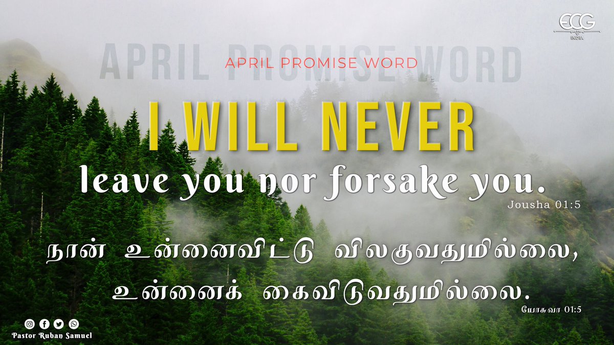 RubanSamuel5's tweet photo. **** April Month Promise Word ****

 I Will Never Leave You Nor Forsake You. 
Jousha 01:5

நான் உன்னைவிட்டு விலகுவதுமில்லை, உன்னைக் கைவிடுவதுமில்லை. யோசுவா 01:5 

#April #newmonth #promise #Bible #ecgindia #trending #jousha1_5 #aprilwish #Tamil #words https://t.co/dr8jLL2adf