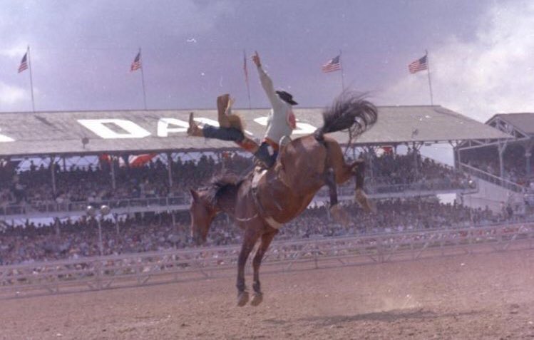 Gracie_m_roth's tweet photo. Jim Shoulders - Cheyenne Frontier Days (1963)

He won it all that year in Cheyenne https://t.co/q6ugxUVH36