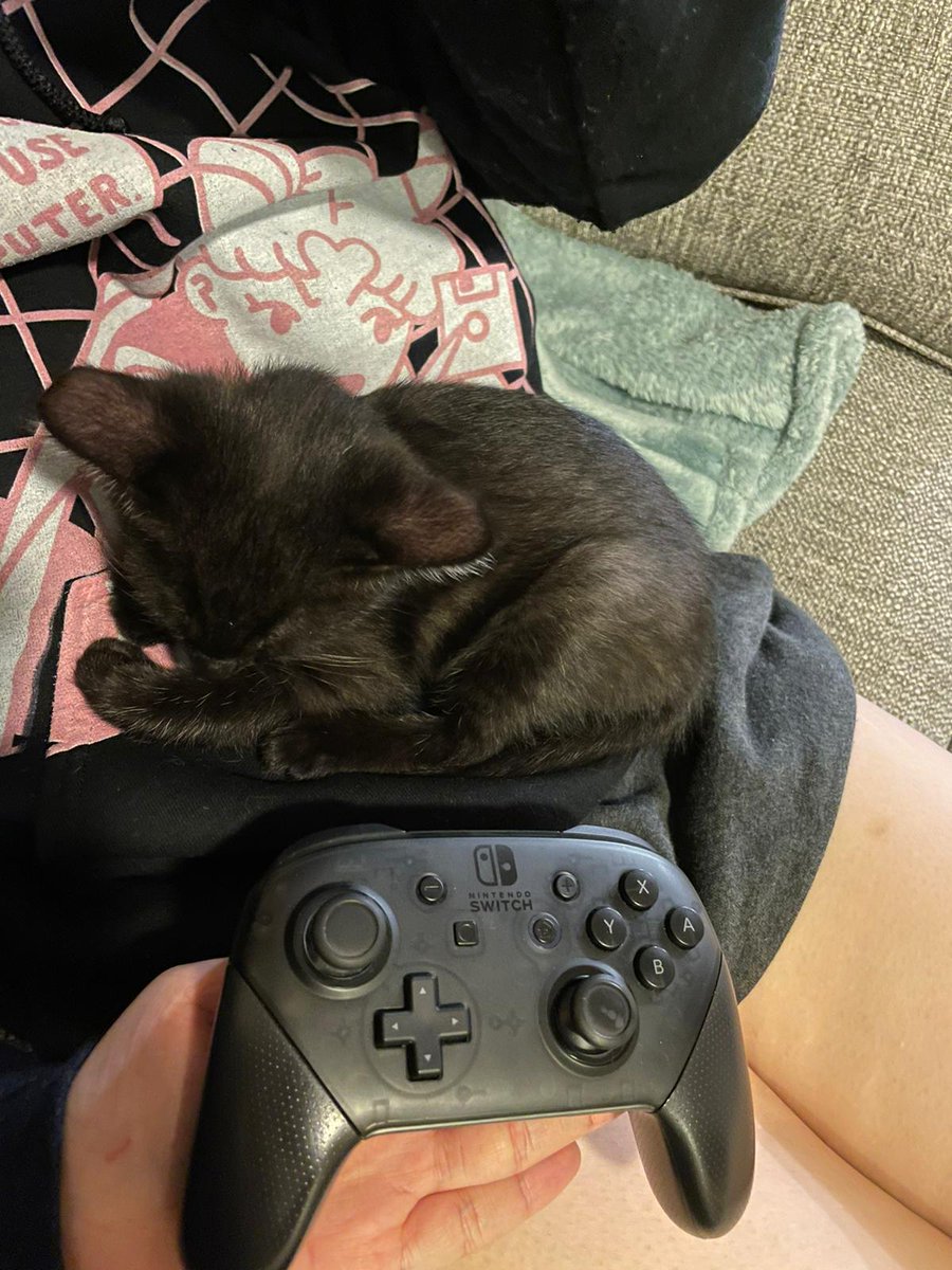 Adri (mazerly) tweet media