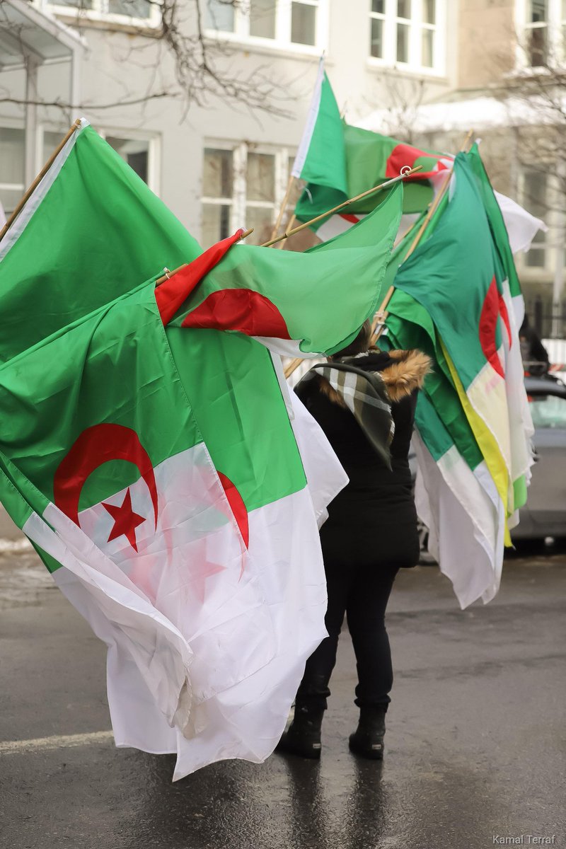 terrafkamal's tweet photo. Algerian flag in Montréal 
#Algérie #Algeria #algerianflag #hirak_canada #hirak_Montréal #revolutiondusourire #الجزائر #kamalterraf #الحراك_هو_الحل #الحراك_هو_الأمل #الحراك #الشعب #لبلاد_بلادنا #سلمية #الجزائر_حرة #قوتنا_في_وحدتنا https://t.co/6T9n0DSs3s