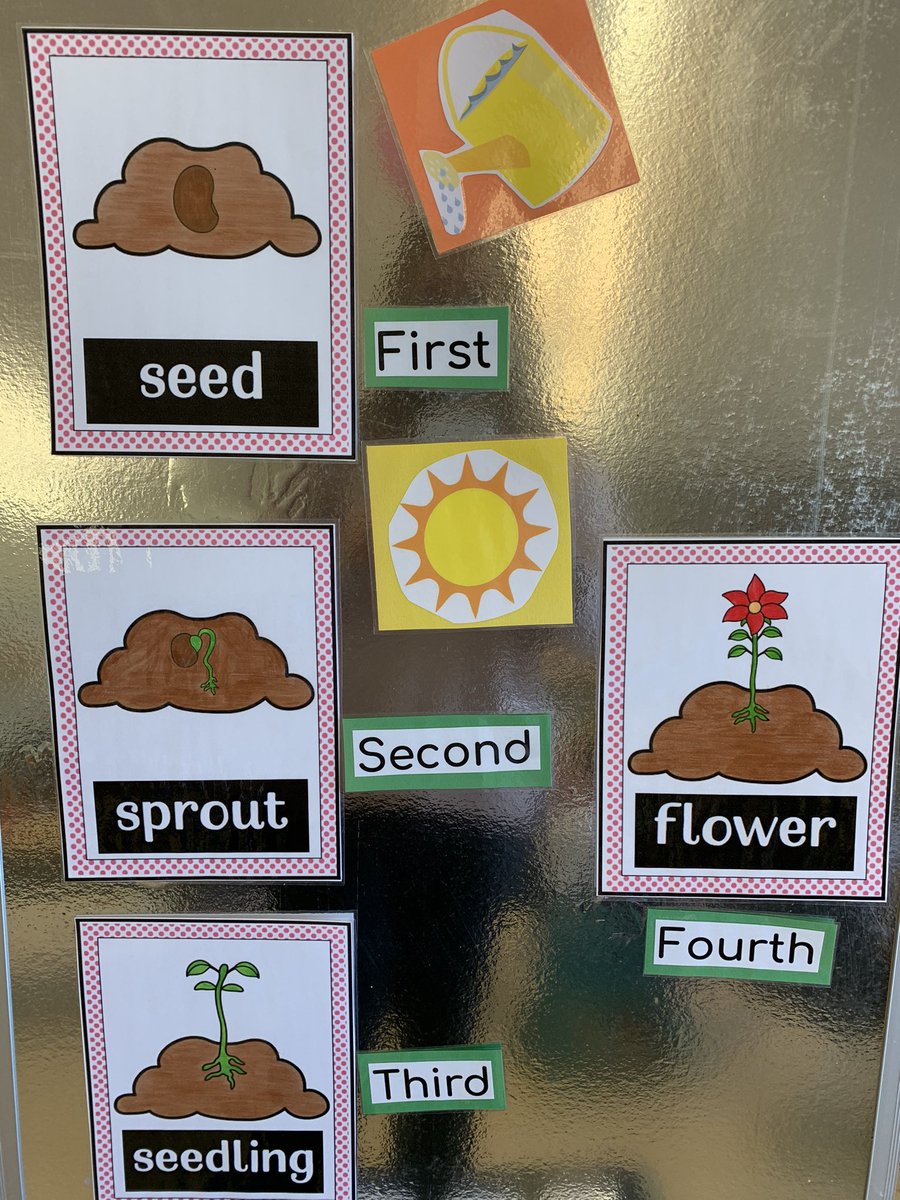MsLCatania's tweet photo. Our Planting Unit is in full swing! 🌸The Kinders LOVED planting their own flowers for Easter. #KinderFun https://t.co/c0gQlpyQQB