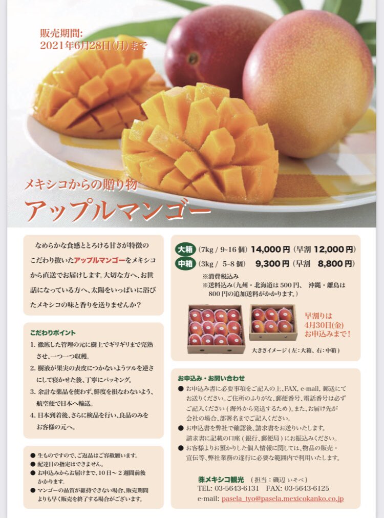 メキシコ観光 気がつけばもう4月1日 メキシコはセマナサンタですね そして今週末にはサマータイム この時期の風物詩 メキシコマンゴー販売開始です どうぞよろしくお願いします あ