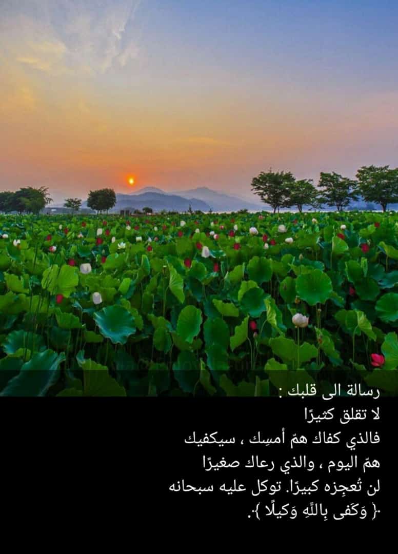 محذوف (@jory1_2345) on Twitter photo 