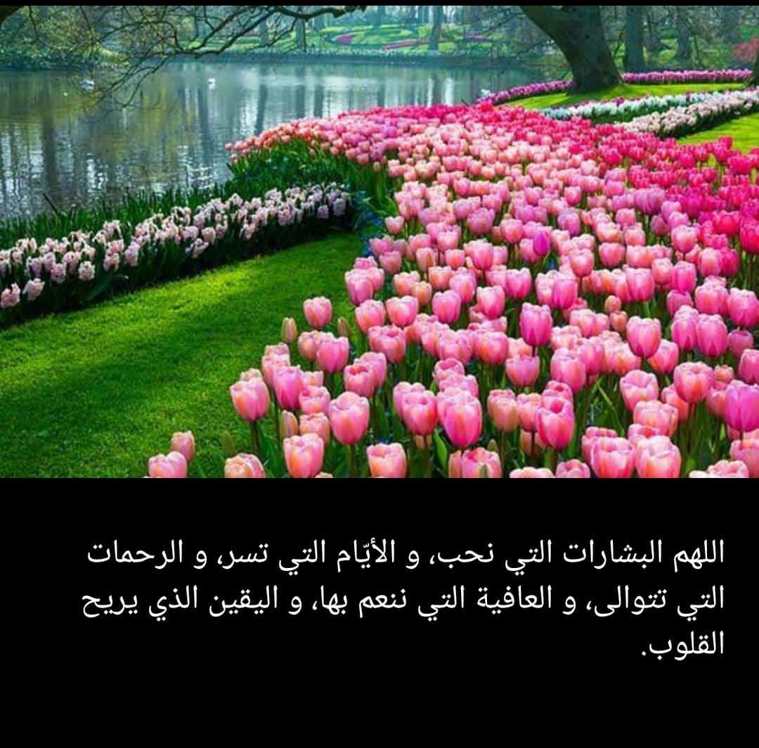 محذوف (@jory1_2345) on Twitter photo 