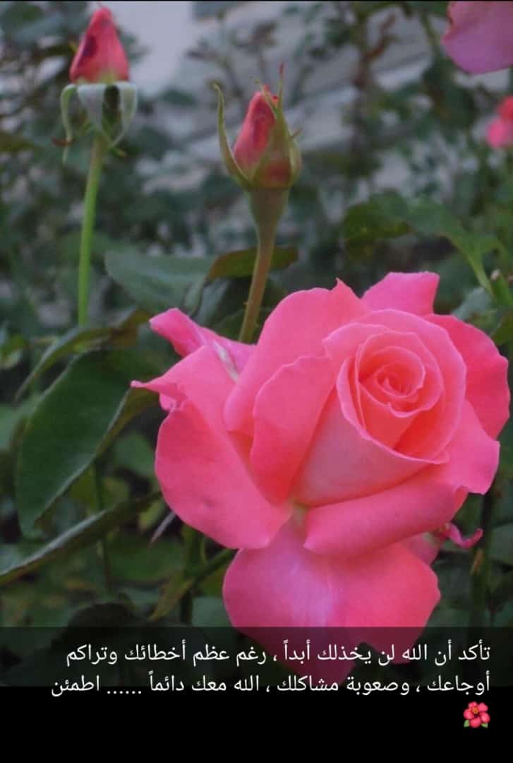 محذوف (@jory1_2345) on Twitter photo 