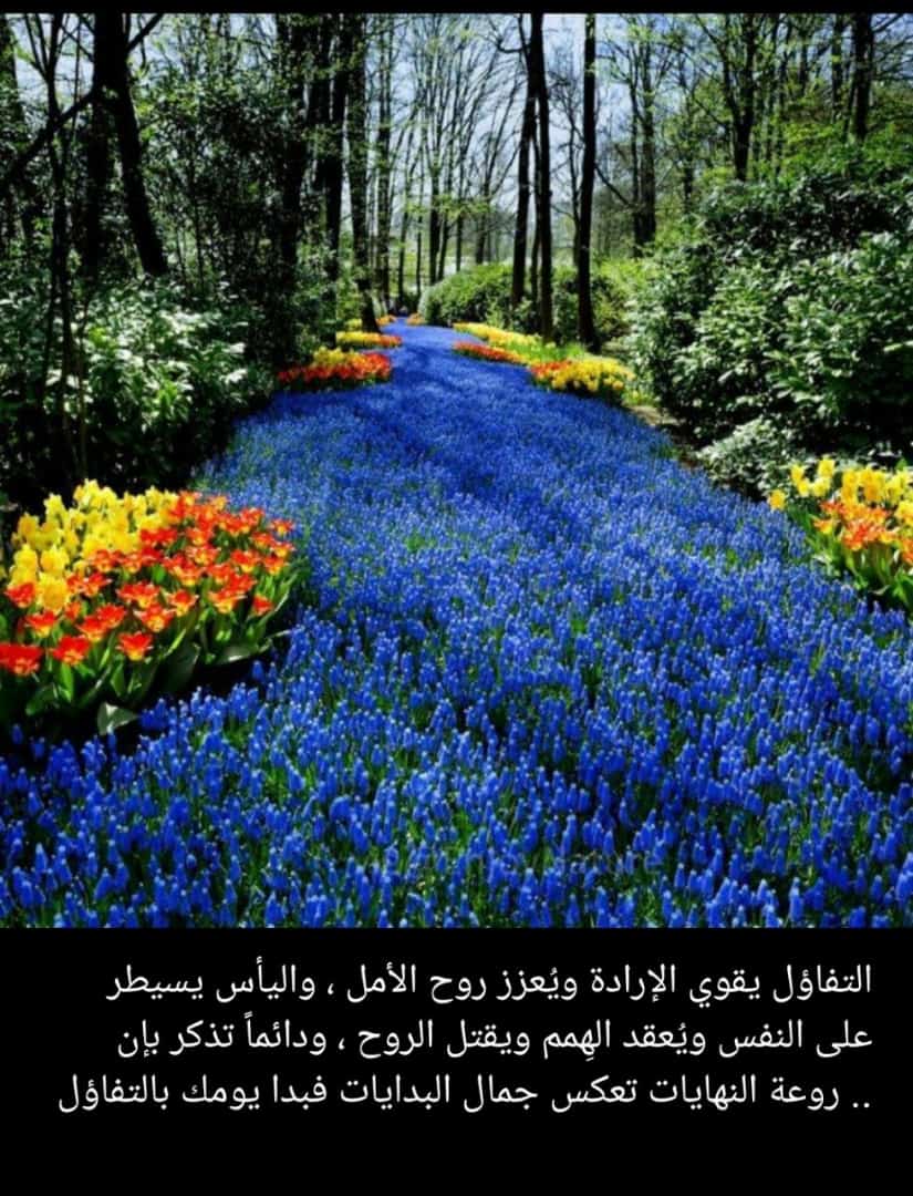 محذوف (@jory1_2345) on Twitter photo 