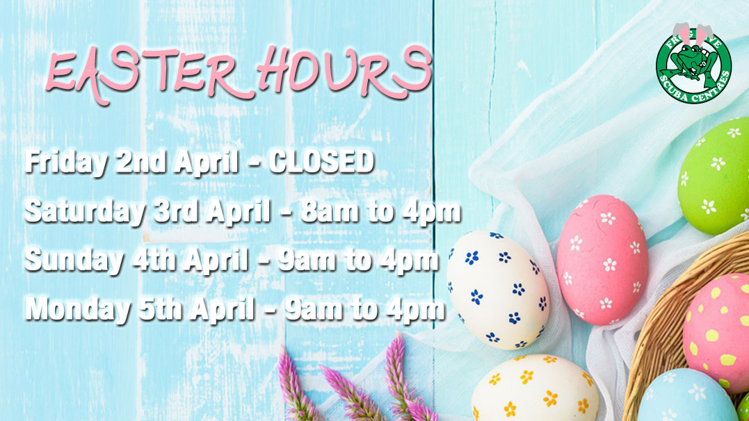 FrogDW's tweet photo. Heads up for our Easter Trading Hours

✔️  We are OPEN Easter Weekend &amp; Easter Monday
✔️  Closed only on Good Friday

Pop in for Air Fills, Gear Hire and Scuba Specials 🤩 https://t.co/Ryk5PcufX2