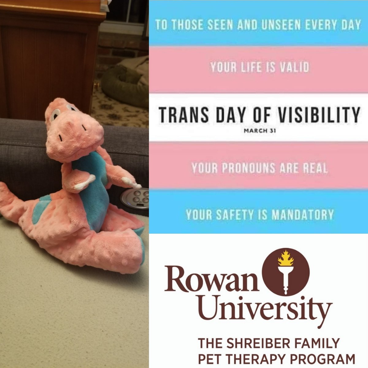 RowanPetTherapy's tweet photo. To our trans students and community members, today (on Trans Day of Visibility) and everyday: we see you, we love you, we support you!
#transdayofvisibility #rowanpride #pupswithpride #animalsasallies https://t.co/PqIlEdOnIM