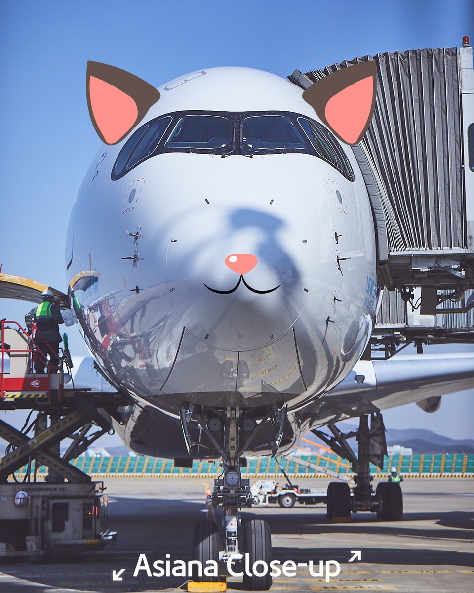 Flyasiana's tweet photo. [Asiana Close-up #만우절] 야간 비행 중 고양이 모드를 키면 항공기 앞에 고양이 코와 귀가 생기면서 시야를 더욱 잘 확보 할 수 있답니다!😁 비행 중 고양이 모드가 켜진 비행기를 보신 분 있으신가요?? #진짜같은 #만우절장난 https://t.co/pEJvIZJQHV