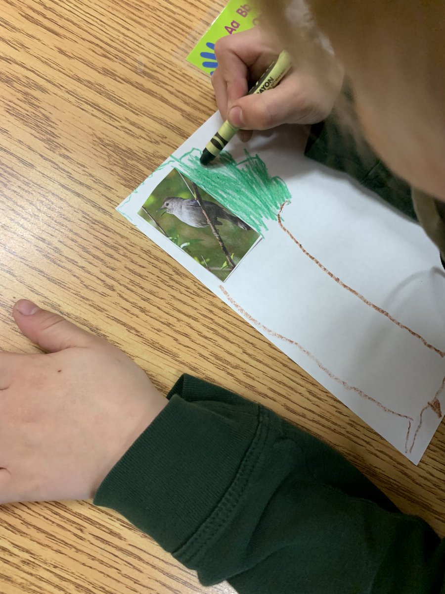 Brookslvsbooks's tweet photo. #projectbasedlearning #researchandwriting #kindergartenrocks “Habitat” is the word in kindergarten. This was a project that was loved by all! ⁦@_MerriamPark⁩ ⁦@theSMSD⁩ https://t.co/MVL8G8GNKE