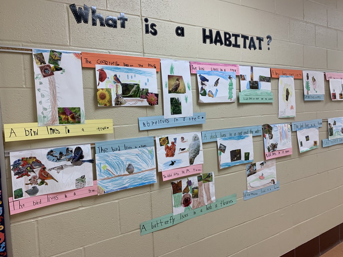 Brookslvsbooks's tweet photo. #projectbasedlearning #researchandwriting #kindergartenrocks “Habitat” is the word in kindergarten. This was a project that was loved by all! ⁦@_MerriamPark⁩ ⁦@theSMSD⁩ https://t.co/MVL8G8GNKE