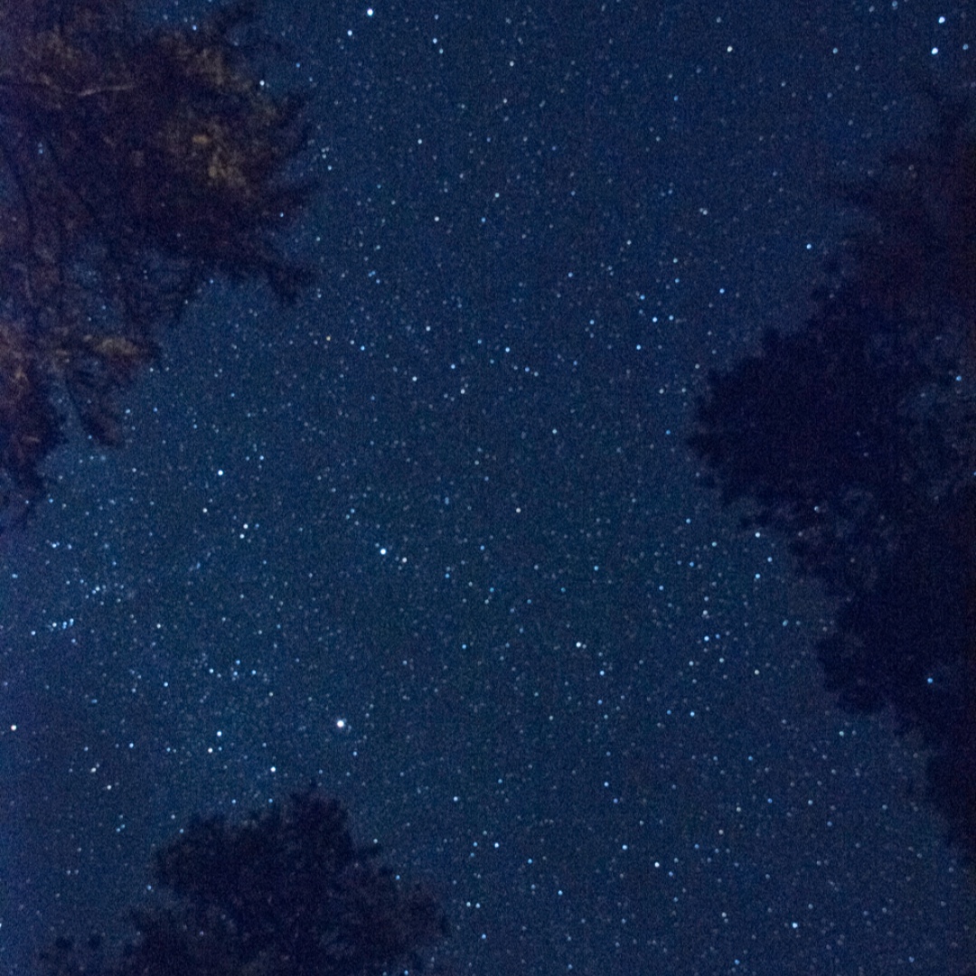 Our other favorite view.  Photo by Duncan Berry. #nightsky #traveloregon #cabin #outdoors