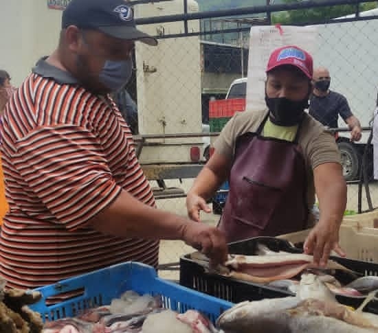 alejabolivarian's tweet photo. 🗣@RangelSilva4F

Activas en #Trujillo las jornadas de distribución de pescado, proteína predilecta y tradicional en la Semana Mayor, con el despliegue del @Minpescave2

#TodosContraElVirus
@PR360_Con
 https://t.co/XAyhd0ld2g
