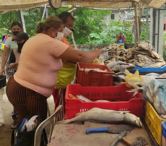 alejabolivarian's tweet photo. 🗣@RangelSilva4F

Activas en #Trujillo las jornadas de distribución de pescado, proteína predilecta y tradicional en la Semana Mayor, con el despliegue del @Minpescave2

#TodosContraElVirus
@PR360_Con
 https://t.co/XAyhd0ld2g