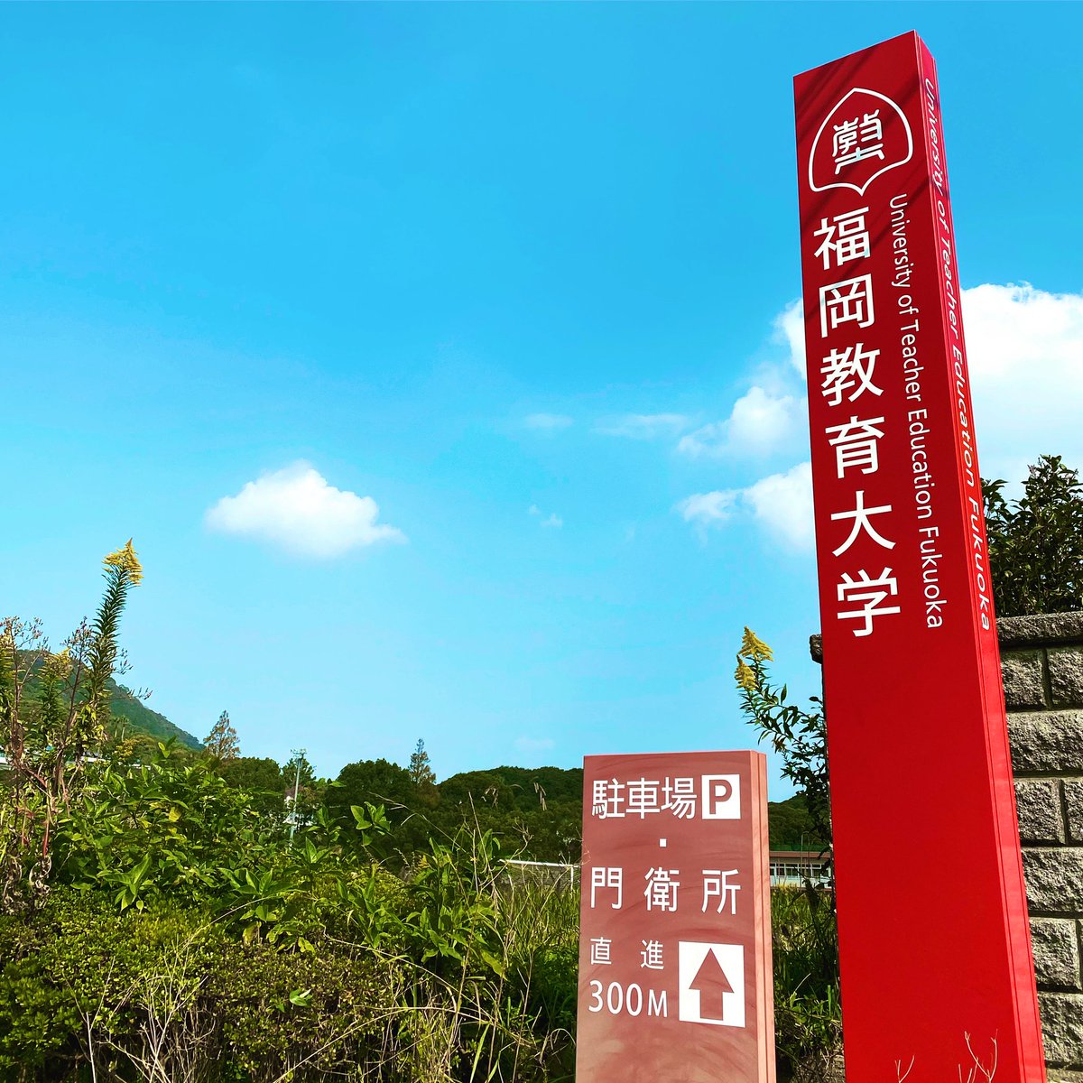 福岡教育大学 学生支援ネットワーク事務局 Utef Comes Twitter 福岡教育大学 学生支援ネットワーク事務局 Utef Comes Twitter
