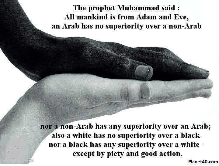 Just saying if u still a racist prick.