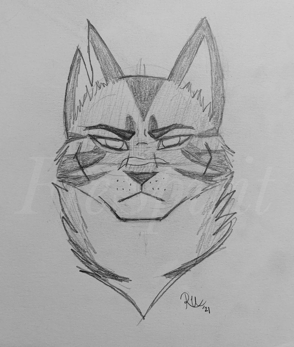 FrespiritArt's tweet photo. In which I doodled my fave angry cat boi to practice angles uwu
#warriorcats #warriorcatsart #art #sketch #traditionalart #catart #tigerstar #tigerclaw #smallartist #drawing #evilboy #villainlove #practice https://t.co/U4rL9JPnBn