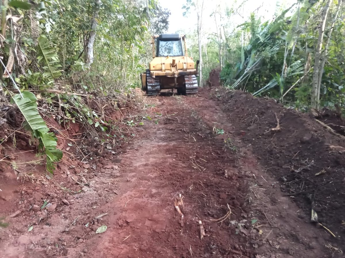 ANCONOrg's tweet photo. Muchísimas gracias a todos por su apoyo a la conservación de Punta Patiño - la reserva natural privada más grande en Panamá y la segunda más grande en Centroamérica - ¡un orgullo para Panamá! La conservación de nuestra reserva se vio amenazada a principios de semana...sigue hilo https://t.co/UjvlsviBSg