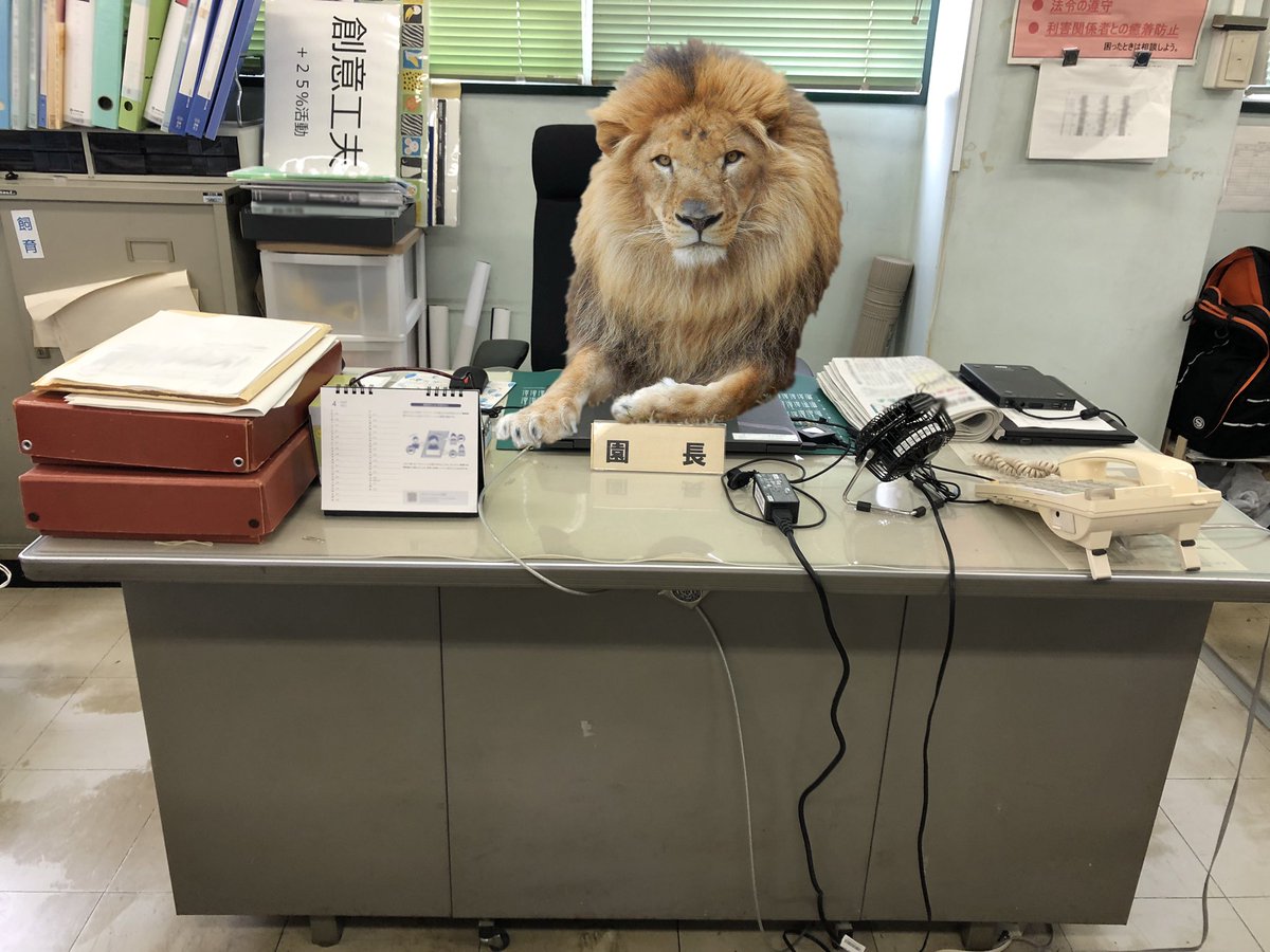 すんごいリーダーシップありそう 威風堂々イケメンのライオンが園長に就任 千葉市動物公園のエイプリルフール画像に集まる声 Togetter すんごいリーダーシップありそう 威風堂々イケメンのライオンが園長に就任 千葉市動物公園のエイプリルフール画像に集まる声 Togetter