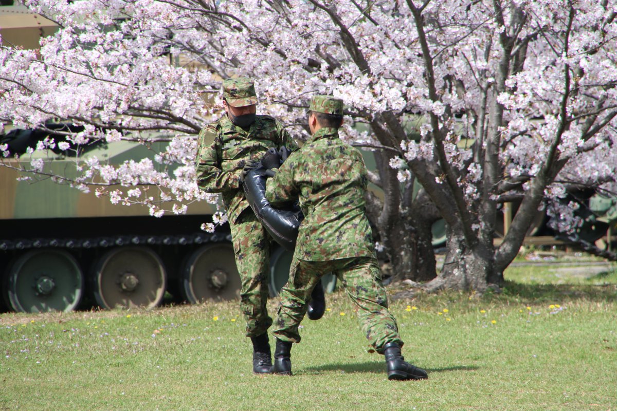 陸上自衛隊 第１４旅団 善通寺駐屯地では桜が満開に咲き誇りました 隊員は 新年度の飛躍を誓い訓練に励んでいます 令和３年度も第１４旅団の活躍にご期待下さい 桜 第１４旅団 善通寺駐屯地 徳島駐屯地 松山駐屯地 高知駐屯地 訓練 新
