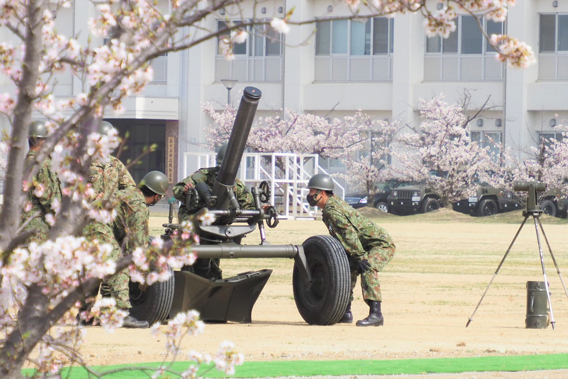 陸上自衛隊 第１４旅団 善通寺駐屯地では桜が満開に咲き誇りました 隊員は 新年度の飛躍を誓い訓練に励んでいます 令和３年度も第１４旅団の活躍にご期待下さい 桜 第１４旅団 善通寺駐屯地 徳島駐屯地 松山駐屯地 高知駐屯地 訓練 新