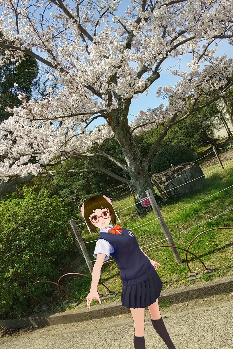 akashiponco's tweet photo. 再び #明石公園 へ #桜 の様子を見に行ってみましたょ!(=^・^=)🐾ソメイヨシノがほぼ満開で見頃を迎えています!🌸青空もあいまって美しいですw
#明石市 #ご当地萌えキャラ #THESEEDONLINE https://t.co/RYsd2mlsza