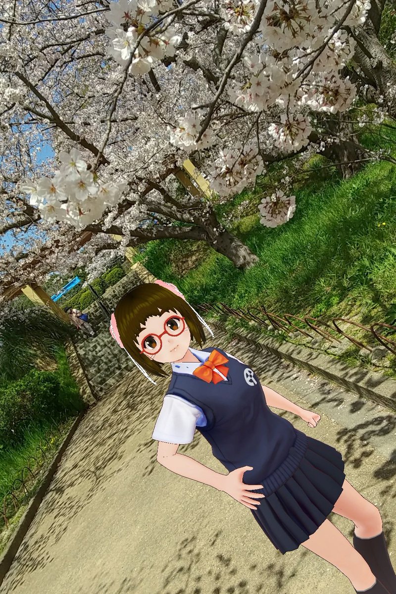 akashiponco's tweet photo. 再び #明石公園 へ #桜 の様子を見に行ってみましたょ!(=^・^=)🐾ソメイヨシノがほぼ満開で見頃を迎えています!🌸青空もあいまって美しいですw
#明石市 #ご当地萌えキャラ #THESEEDONLINE https://t.co/RYsd2mlsza