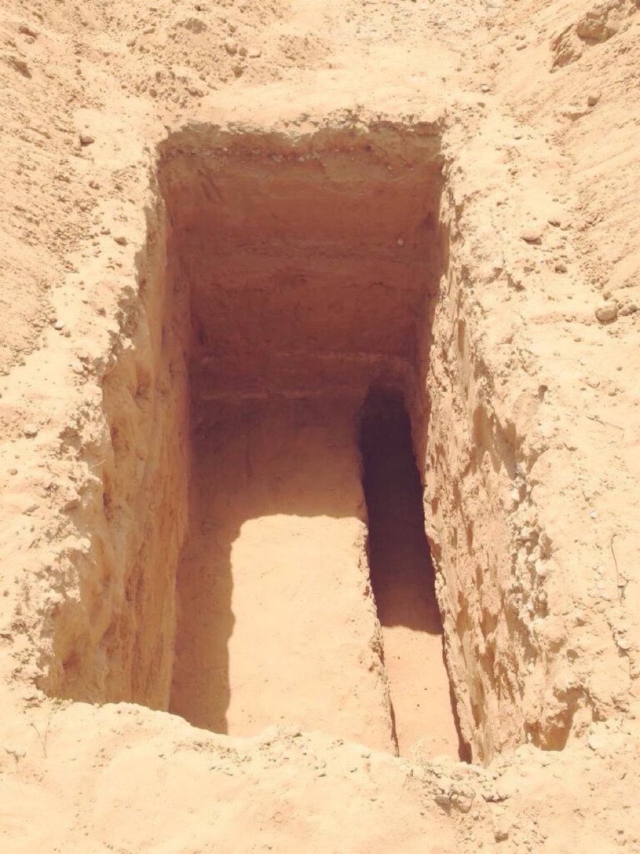 ZQZolz's tweet photo. أخي المسلم، أختي المسلمة:
حين تُلْحَدُ في قبرك وتُدْفَن، سيسألُك الملكان عن نبينا -عليه الصلاة والسلام- فقل لي بربك:
كيف سيكون جوابك عنه، وقد أشْهَدَكَ الله رؤية من يستهزء به ثم لم تنصره ولو بــ #مقاطعه_المنتجات_الفرنسيه156 https://t.co/mqlTfTU97o