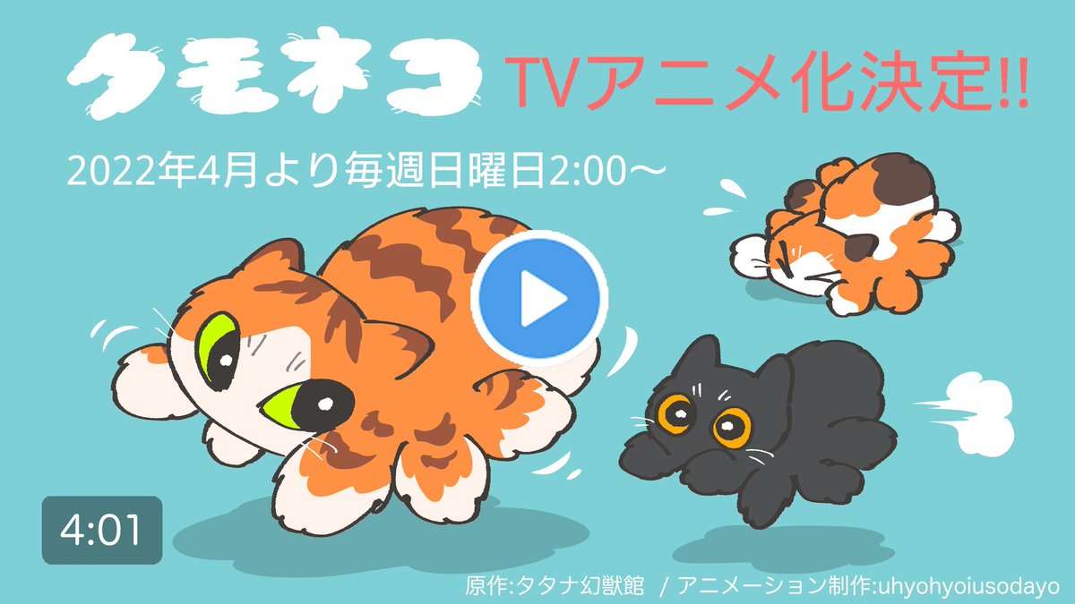 ハツノニ クモネコ アニメ化決定 クモネコたちがtvアニメになります 22年4月より放送開始です どうぞお楽しみに ハツノニ クモネコ アニメ化決定 クモネコたちがtvアニメになります 22年4月より放送開始です どうぞお楽しみに