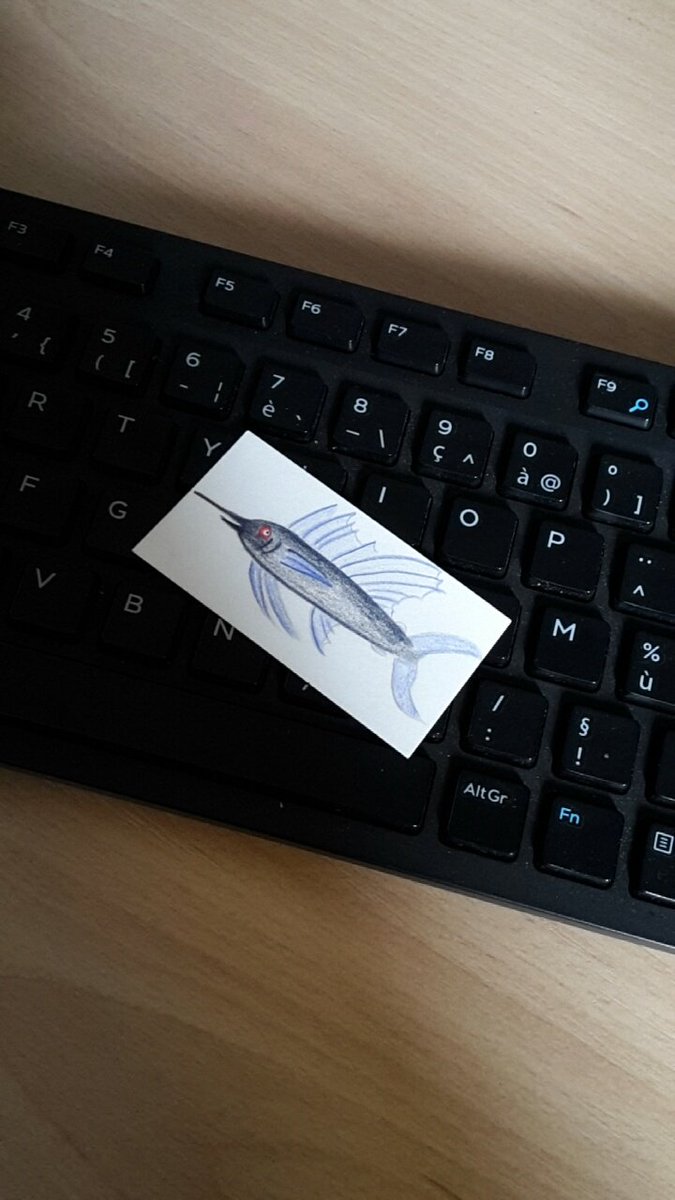 Aaaaw 😍 Comment ça fait du bien quand on arrive à son bureau ❤🐠🐣