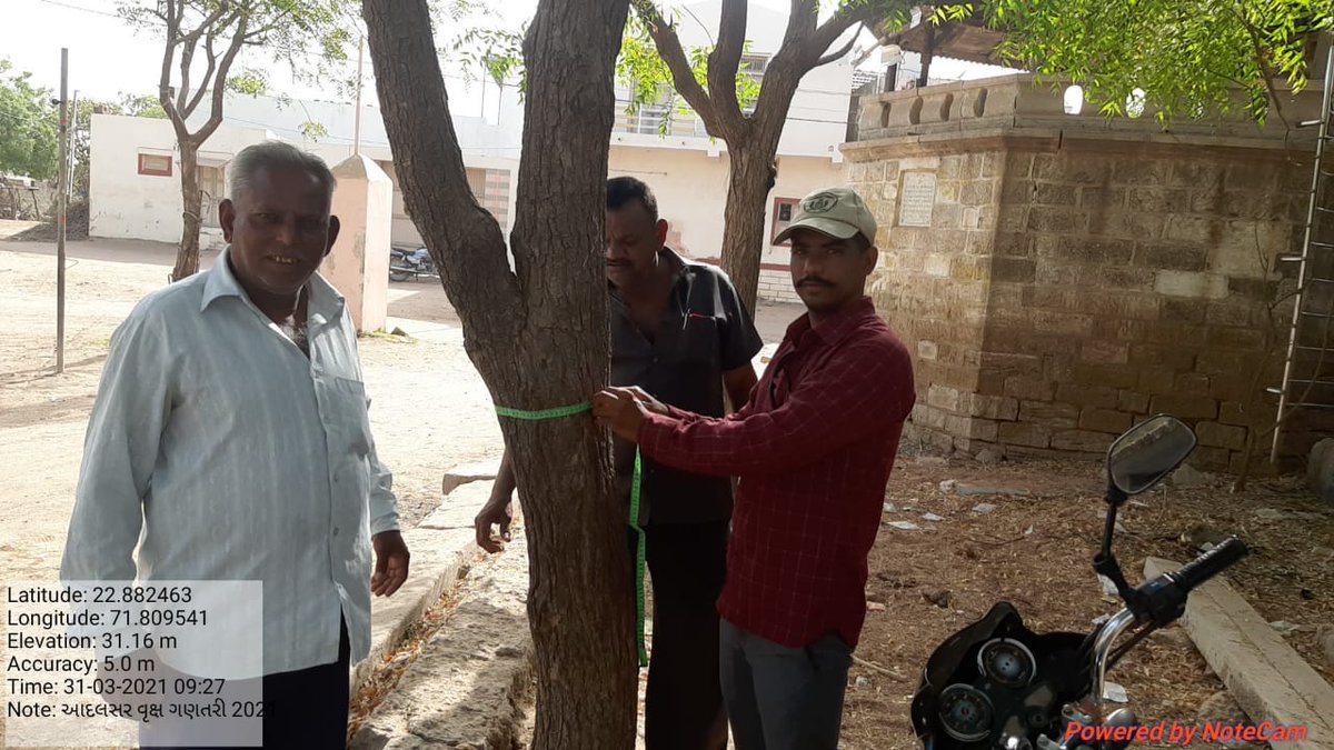 dcfsfsnr1's tweet photo. વૃક્ષગણતરી વર્ષ ૨૦૨૧-૨૨ અન્વયે સામાજિક વનીકરણ વિભાગ સુરેન્દ્રનગરની વિવિધ રેન્જો ધ્વારા વૃક્ષ ગણતરીની કામગીરી હાથ ધરવામાં આવી. #TreeCounting2021 @HoffPccf @GujForestDept @CCF_Ahmedabad @moefcc https://t.co/DsPl0CHkKQ