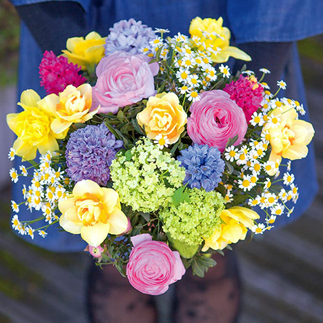 Bonjour Twitter avec le bouquet de printemps Rosalie ! 
=>bit.ly/rosalie-bouquet